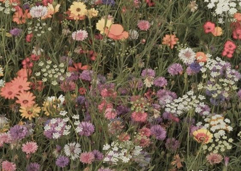 Why Sustainability Matters: A Look at Our Commitment to Eco-Friendly Fragrances